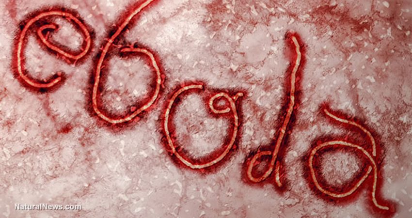 Ebola – Pulmars Unease