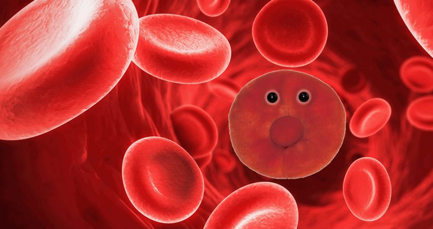 The Unhappy Red-Blood Cell